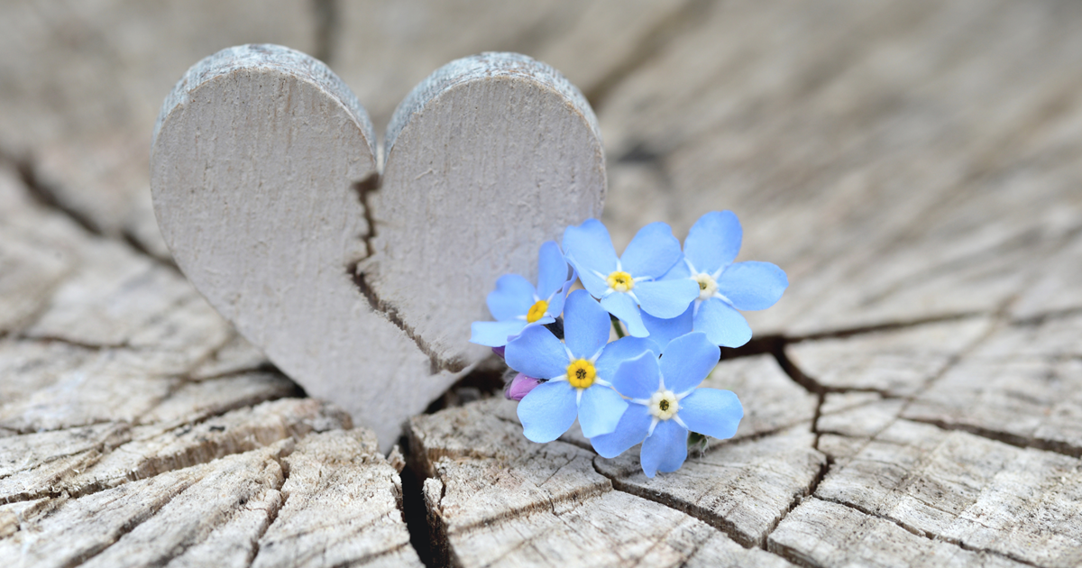 <p>263. For all that was left unsaid&nbsp;</p>