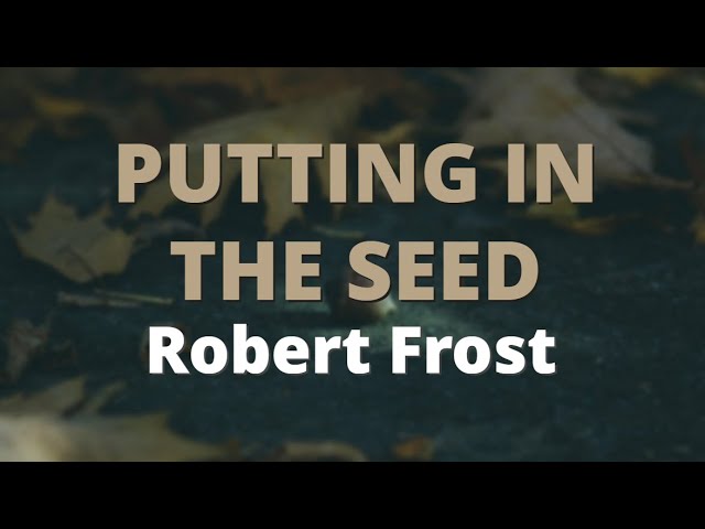 <p>316<em>. </em>How Love Burns Through the Putting in the Seed<br>&nbsp;<br><br></p>