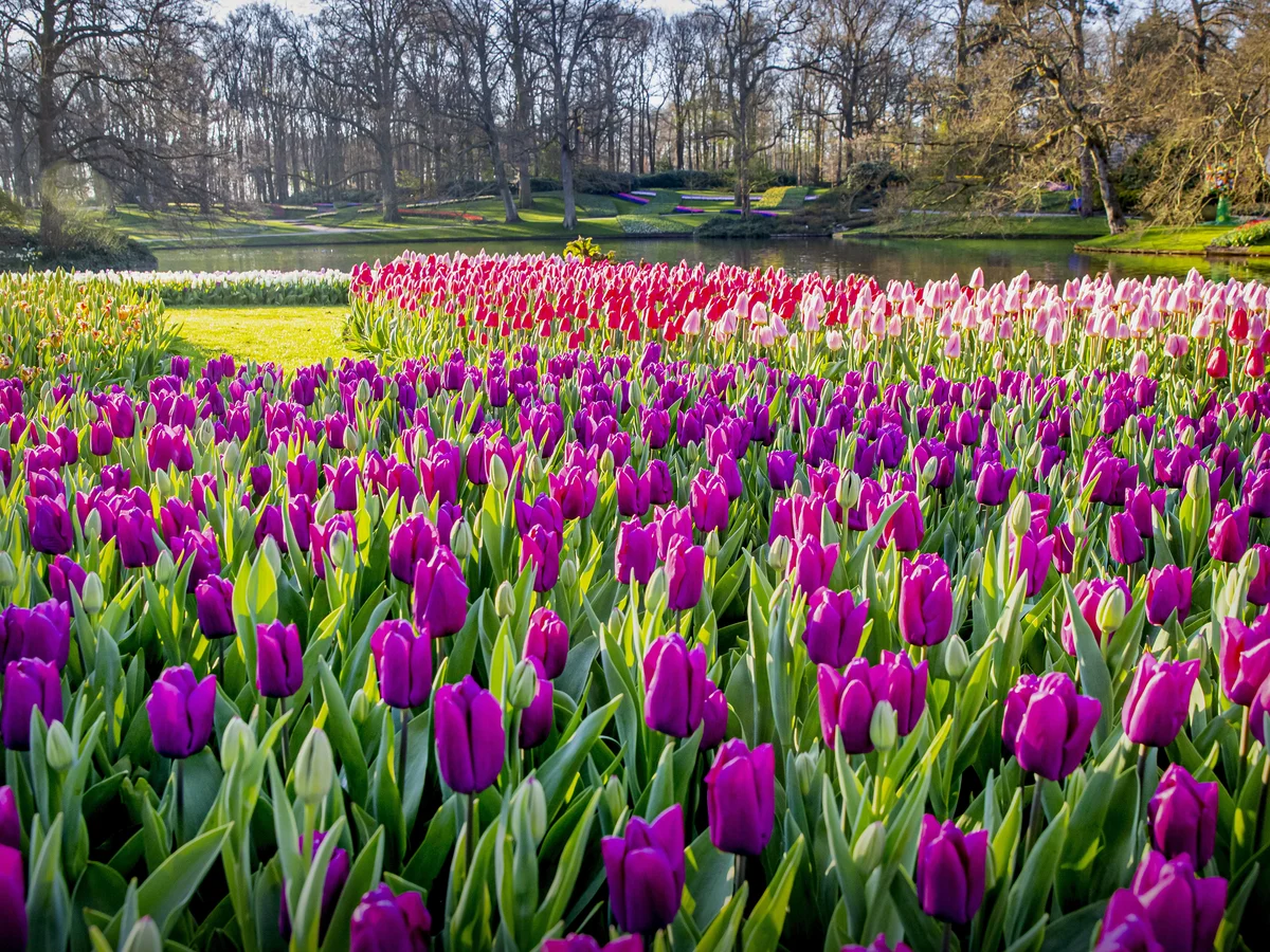 <p>190. Say a little something</p>